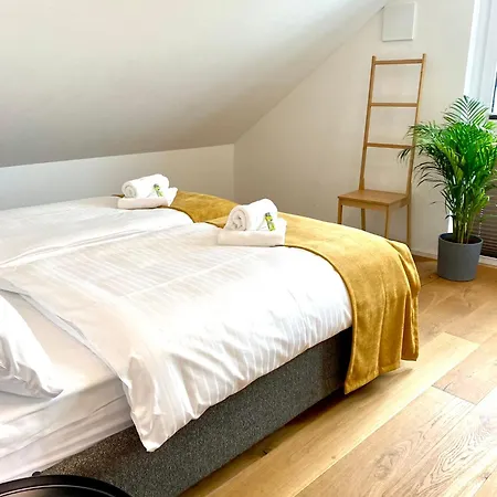 Lejlighed Kstay Apartment-kombi Im Eg Und Dg Fuer Bis Zu 8 Personen Mit Dachterrasse, Parkplaetzen, Smart-tvs Eltville am Rhein