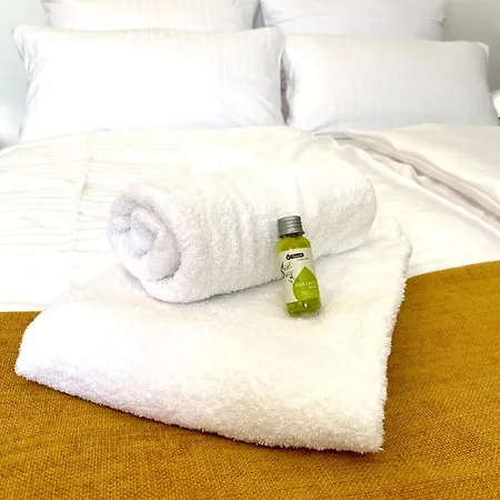 Lejlighed Kstay Apartment-kombi Im Eg Und Dg Fuer Bis Zu 8 Personen Mit Dachterrasse, Parkplaetzen, Smart-tvs *