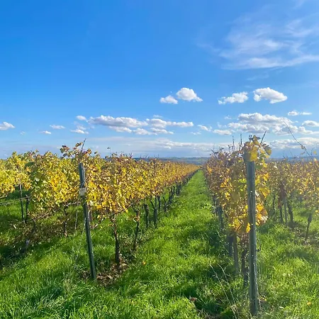 Kstay Apartment-kombi Im Eg Und Dg Fuer Bis Zu 8 Personen Mit Dachterrasse, Parkplaetzen, Smart-tvs * Eltville am Rhein